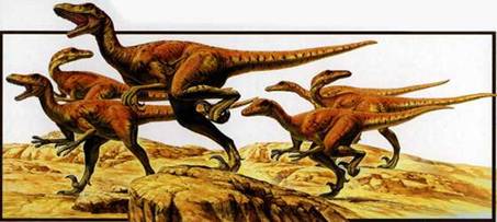 Raptors
